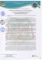 ORDENANZA MUNICIPAL Nº 9032