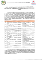 ACTA DE INSTALACION CODISEC-2025