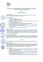 REGLAMENTO DEL PROCESO DE PRESUPUESTO PARTICIPATIVO BASADOS EN RESULTADOS 2025 DE LA MUNICIPALIDAD DISTRITAL DANIEL HERNANDEZ