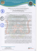 ORDENANZA MUNICIPAL N°009-2019-MDDH-CM