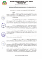RESOLUSION DE ALCALDIA N 077-2026
